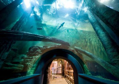 Acuario Fluvial Expo Zaragoza