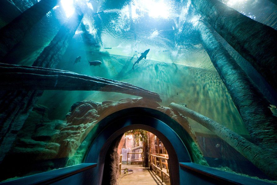 Acuario Fluvial Expo Zaragoza