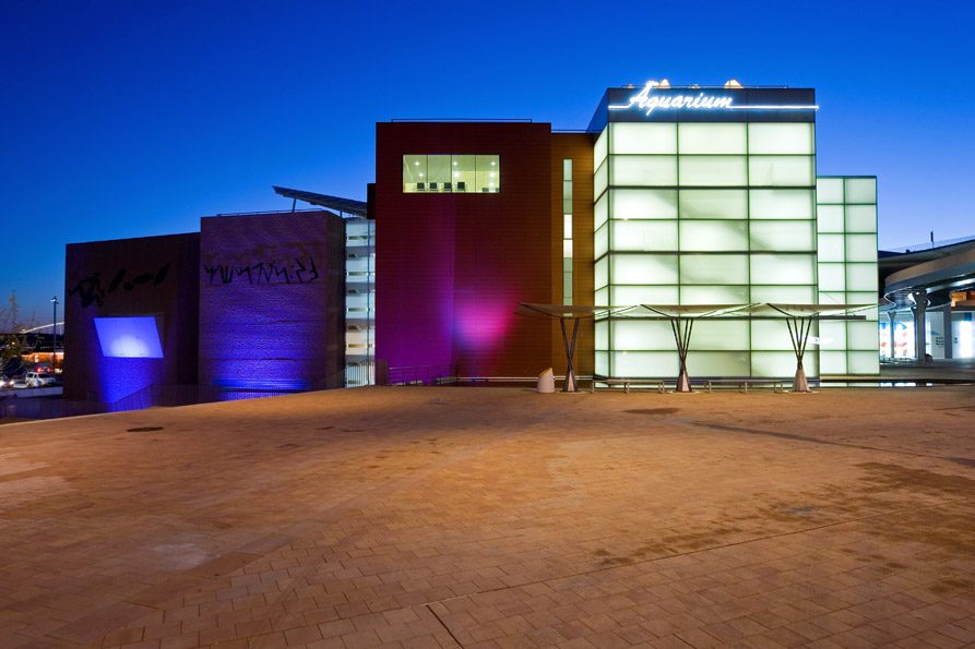 Primer Premio “Pabellón de los Ríos, Acuario Fluvial Expo Zaragoza 2008” (2005/2008)